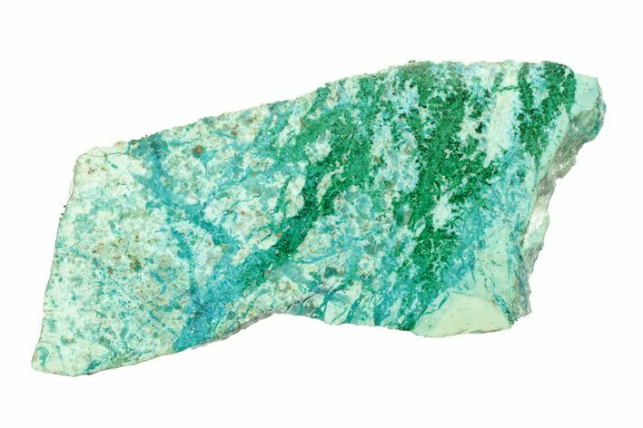 Polished Blue River Chrysocolla Slice - Arizona #264028